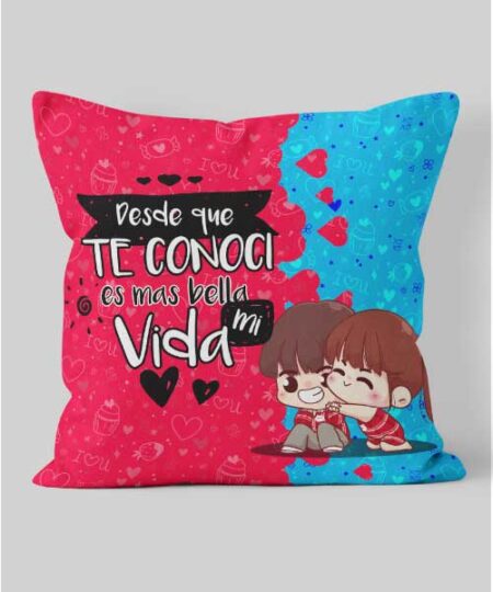 Cojines de Amor y Amistad